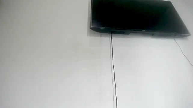 Fox_Loves