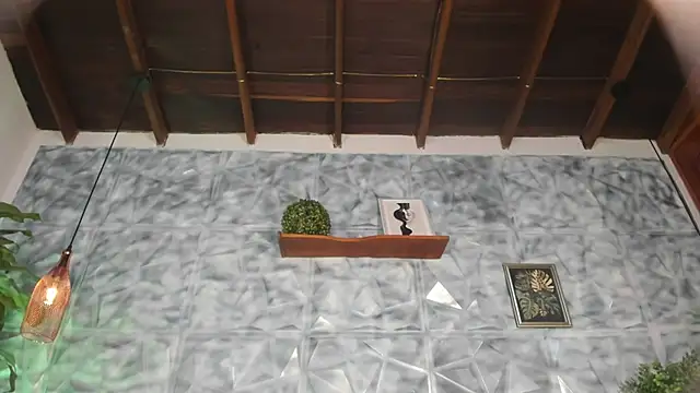 liia_marin webcam