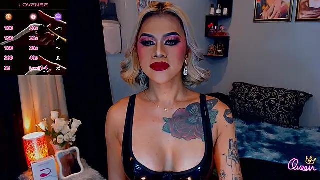 StellaStrong30 webcam