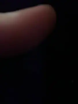 chi-cock