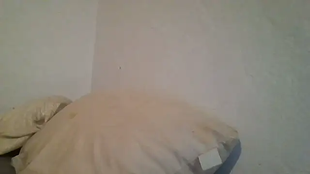 ThorsonFreja webcam