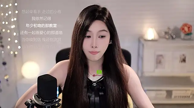 SleepArtist webcam