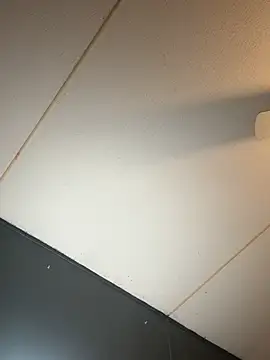 Enjoyedmine webcam