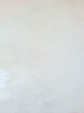 Poojaxx56