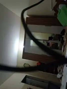 nihsoad webcam