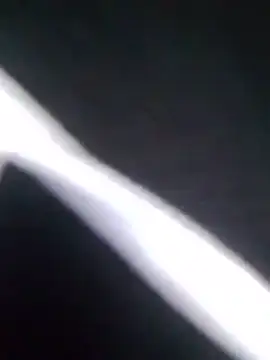 doggy-00 live cam preview