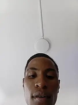 Bichorro webcam