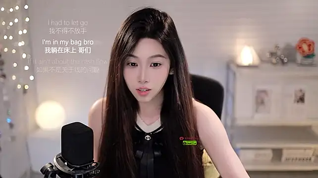 SleepArtist webcam