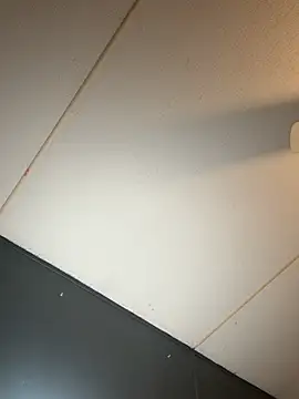 Enjoyedmine webcam