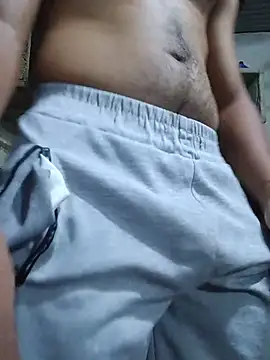 Gato_hot77