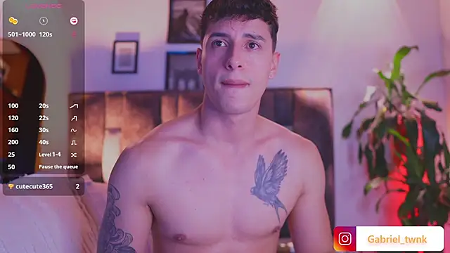 I_Gabriel webcam