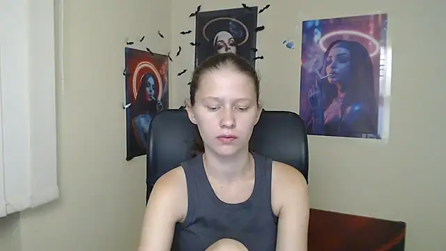 StellaCRL webcam