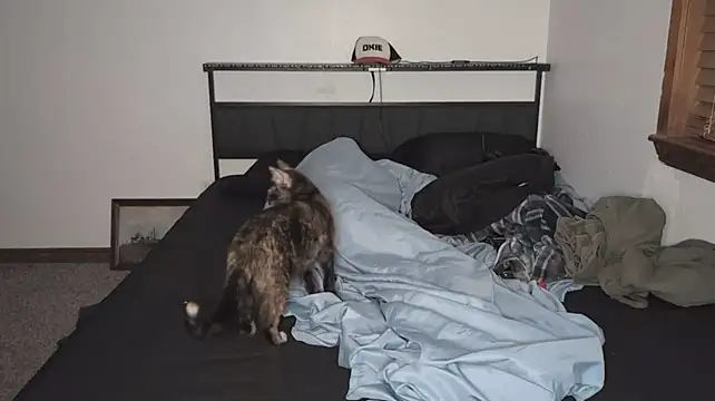 Opondestre00420 live cam preview