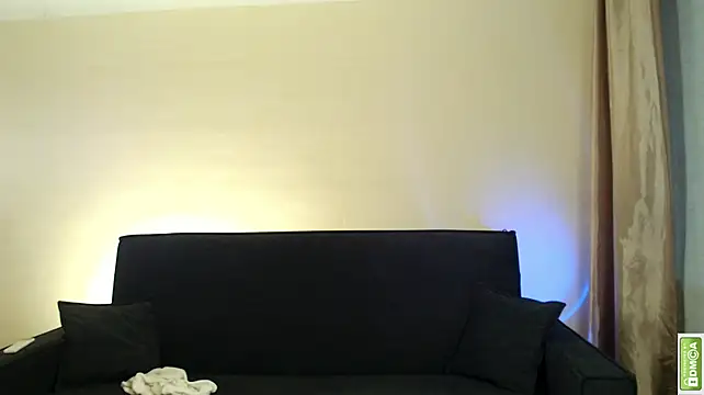 Arturswan