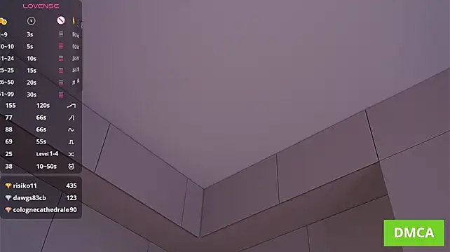 RuthFraction live cam preview