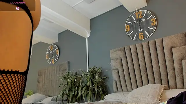 Houston__bull live cam preview