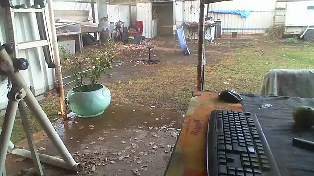 herbie010666 live cam preview