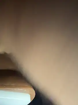 SideGhost live cam preview