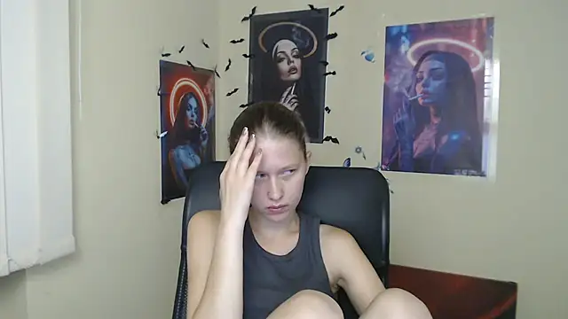 StellaCRL webcam