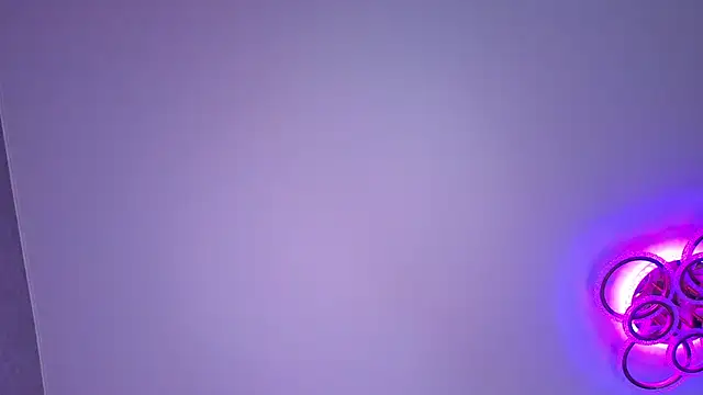 PerryKitty webcam