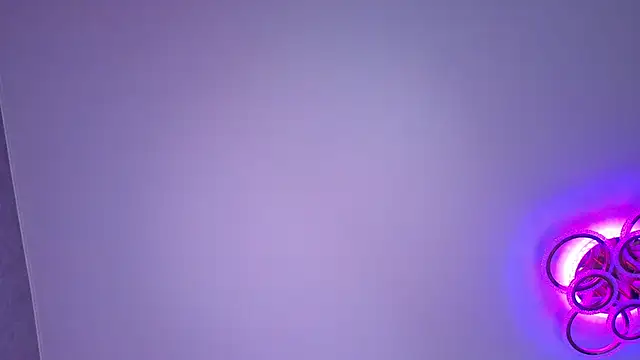 PerryKitty webcam