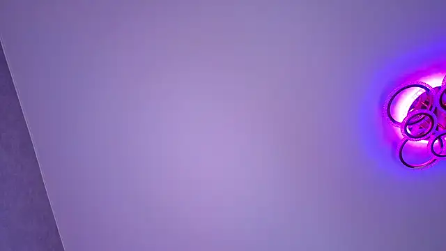 PerryKitty webcam