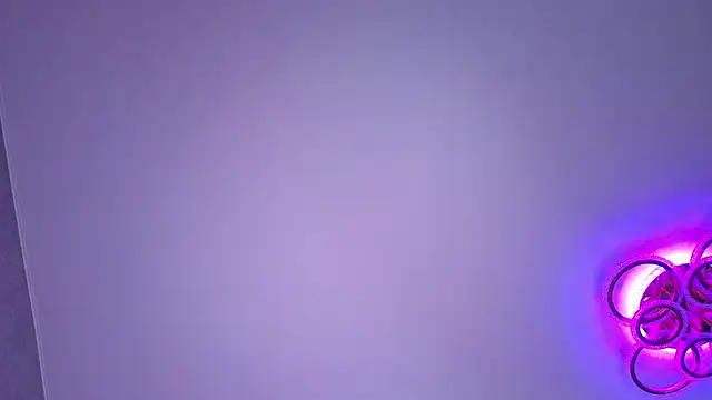 PerryKitty webcam