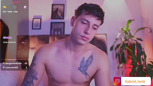 I_Gabriel webcam