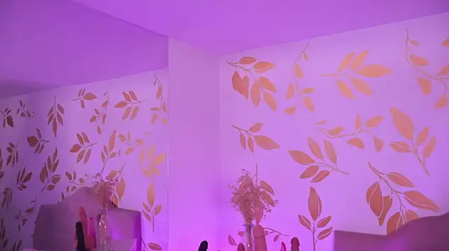 Misselektra__ webcam