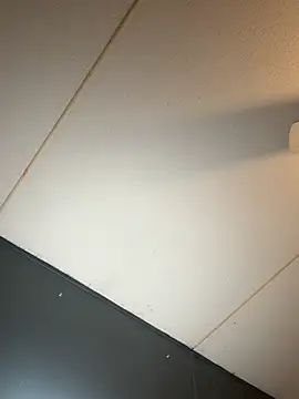 Enjoyedmine webcam