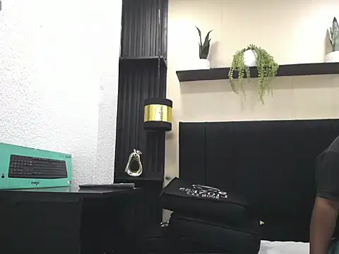 FunnyValentine_ webcam