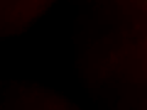 jesusvergonon
