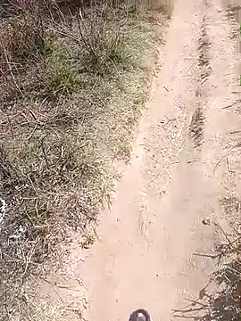 XTRIAL_67