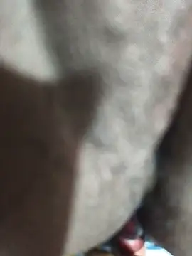 CplAnita