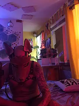 danix_wild_wolf webcam