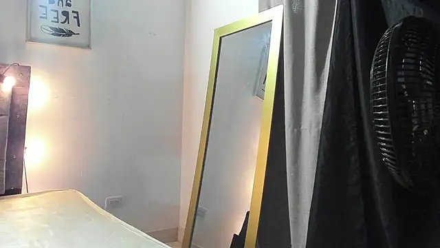 Prim_Rosse webcam