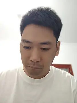 lf119102 webcam
