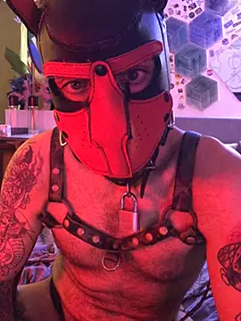 danix_wild_wolf webcam