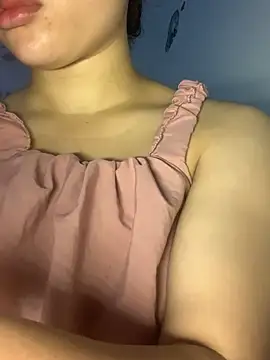 Nguyenha11 webcam