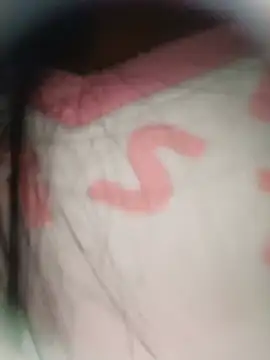 eanna88 webcam