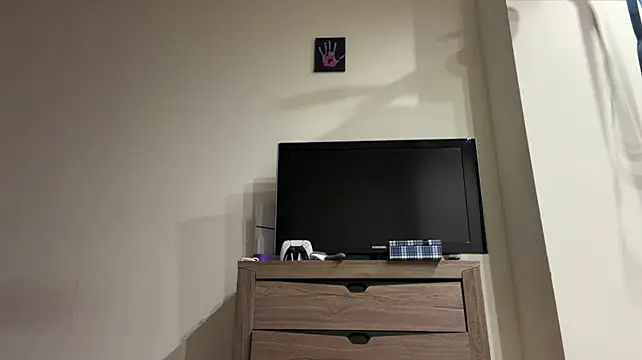 PaintedDisplay webcam