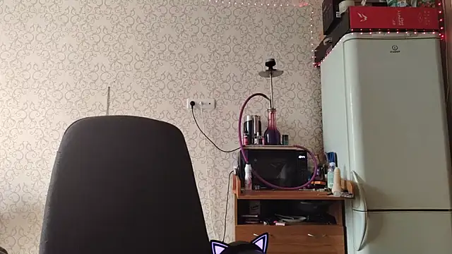 LeanZealand webcam