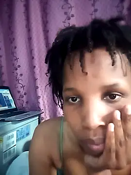 Prilisa webcam