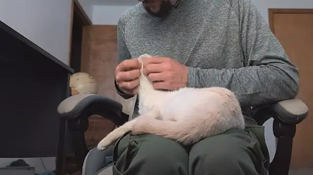 Opondestre00420