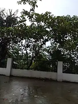 mylaky9