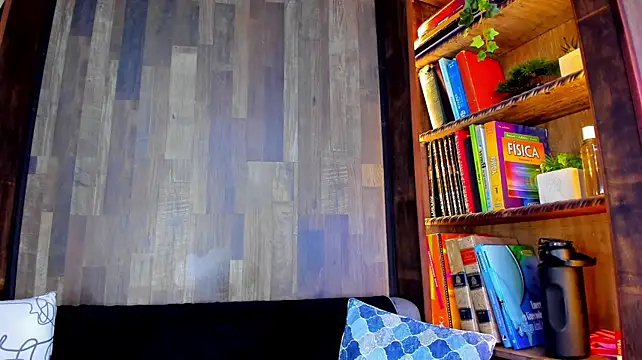 MikeEstevess webcam