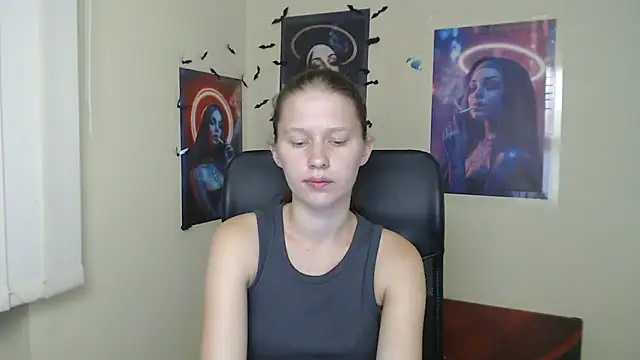 StellaCRL webcam