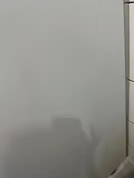 Turkishleo