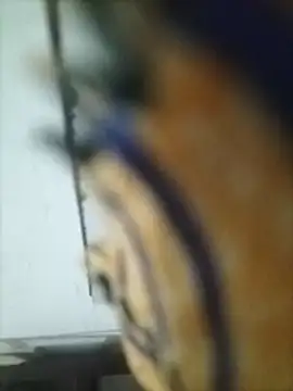 Pitercom live cam
