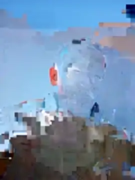 whitevegas69